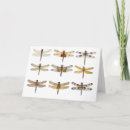 Search for dragonfly cards Insect