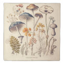 Search for vintage duvet covers Forest