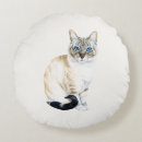 Search for lynx point siamese Cat