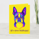 Search for boston terrier birthday puppy