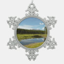 Search for swan lake ornaments Landscape