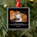 Search for black chihuahua ornaments Cute