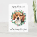 Search for beagle cards Dog