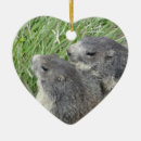 Search for groundhog ornaments Cute