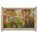 Search for fall serving trays Autumn
