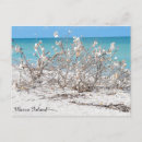 Search for island postcards Beach