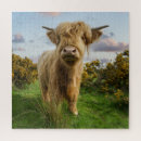 Search for highland cow puzzles Farm