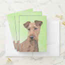 Search for dog folders Portrait
