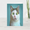 Search for cat hanukkah cards Humor