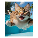Search for funny cat posters Pet