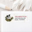 Search for border collie return address labels Puppy