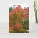 Search for christian autumn cards Nature