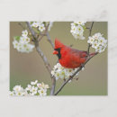 Search for pear tree cards stamps Red