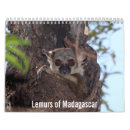 Search for africa calendars Wildlife