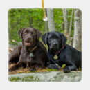 Search for black lab ornaments Dogs