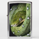 Search for snake lighters Animal