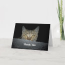 Search for cat thank you cards Pet