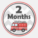 Search for baby month stickers Milestone
