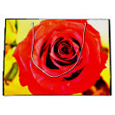 Search for red roses gift bags Bright