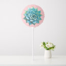 Search for succulents balloons Desert