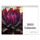 Search for spiral calendars planners Colorful