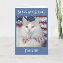Search for usa holiday cards red white blue