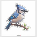 Search for blue jay stickers Animals