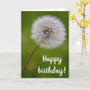 Search for birthday with bible verse postcards Flowers