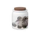 Search for crocodile favors Alligator