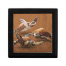Search for turtle gift boxes Reptile