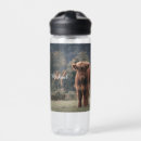 Search for cow water bottles Calf