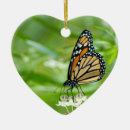 Search for monarch butterfly ornaments Photography