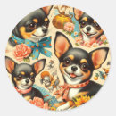 Search for chihuahua stickers dogs