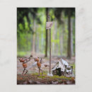 Search for summer camp postcards Camping