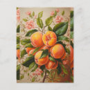 Search for atlanta postcards Peach