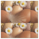 Search for chicken fabric Eggs