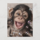 Search for chimpanzee postcards Monkey