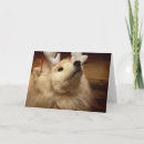 Search for samoyed christmas cards White