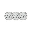 Search for volleyball ball Team