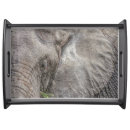 Search for elephant serving trays Wildlife