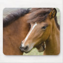 Search for horse mousepads Mare