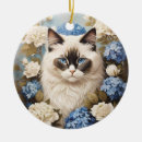 Search for ragdoll cat ornaments Pet