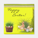 Search for easter magnets Hen