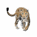 Search for cat photo statuettes Animal