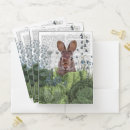 Search for bunny folders Bunnies
