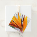 Search for bird of paradise wedding gifts Floral