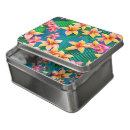 Search for hawaiian puzzles Hula