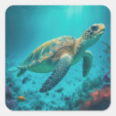 Search for sea turtle design stickers Florida