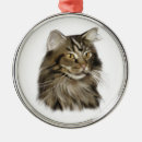 Search for tabby cat ornaments Maine