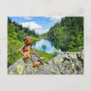 Search for postcrossing postcards Funny